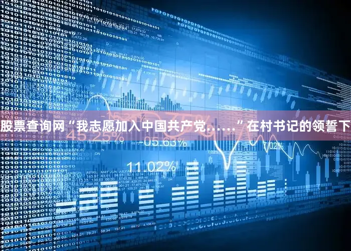 股票查询网“我志愿加入中国共产党……”在村书记的领誓下
