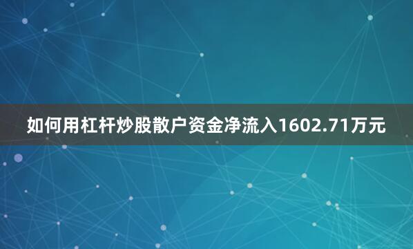 如何用杠杆炒股散户资金净流入1602.71万元
