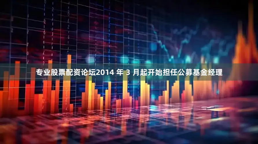 专业股票配资论坛2014 年 3 月起开始担任公募基金经理