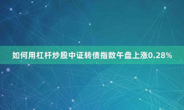 如何用杠杆炒股中证转债指数午盘上涨0.28%