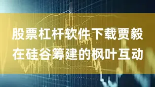 股票杠杆软件下载贾毅在硅谷筹建的枫叶互动