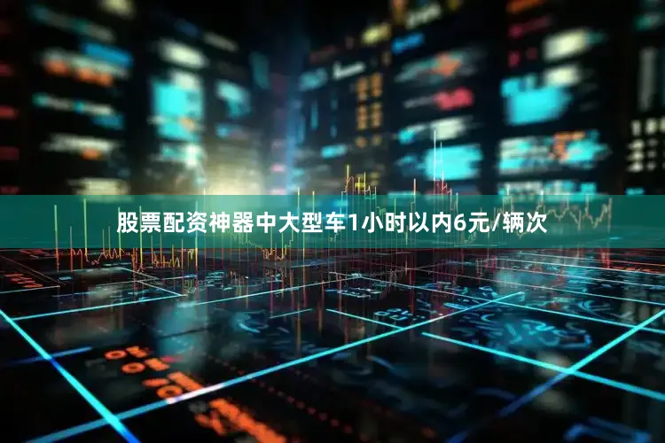 股票配资神器中大型车1小时以内6元/辆次